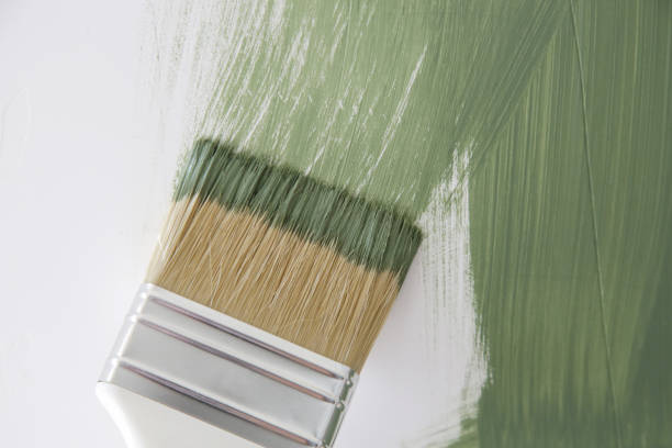 Reliable Proctor, MN Mold Removal Solutions