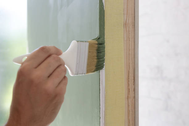 Best Mold Odor Removal Services  in Proctor, MN