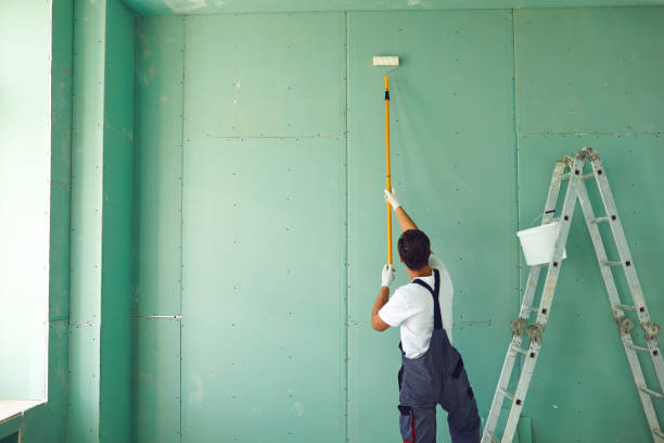 Mold Odor Removal Services in Proctor, MN