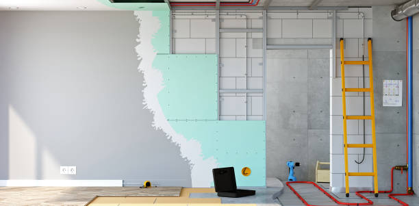Best Black Mold Removal  in Proctor, MN