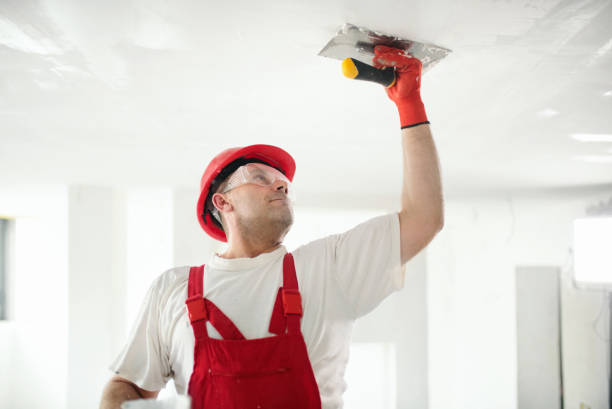 Best Commercial Mold Inspection  in Proctor, MN