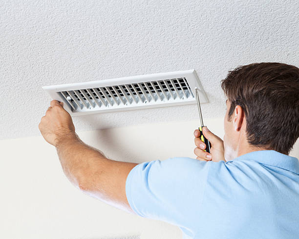 Best Mold Remediation for Healthcare Facilities  in Proctor, MN
