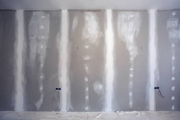 Best Environmental Consulting for Mold Prevention  in Proctor, MN